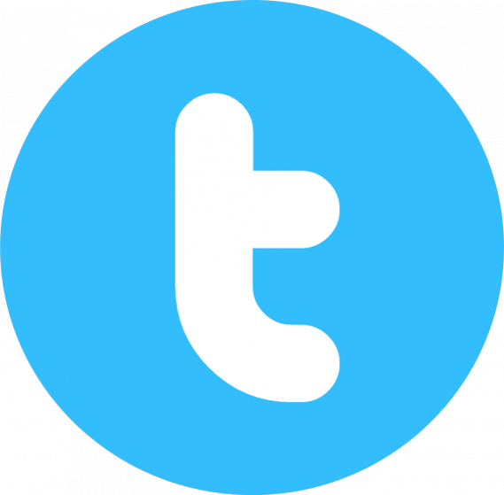 logo twitter rogné